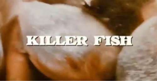 Killer fish